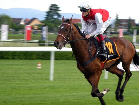 Image showing race horse and jocked at a racing event